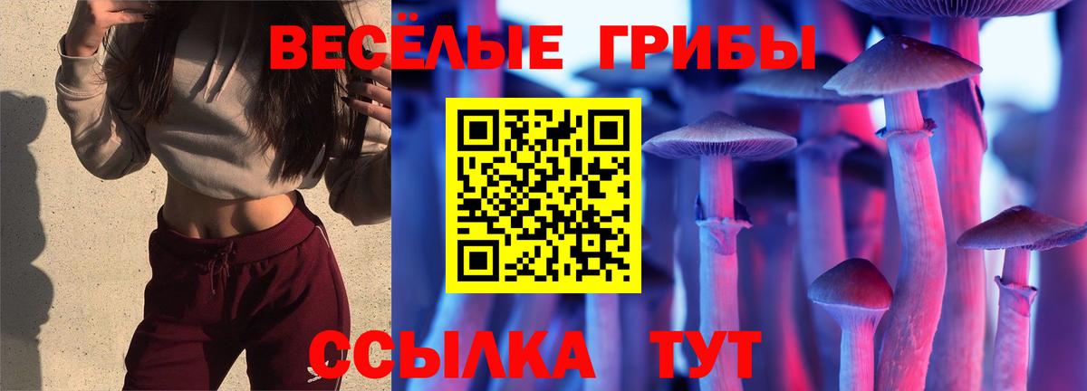 Галлюциногенные грибы Psilocybine cubensis  Вход с VPN  Галлюциногенные грибы Psilocybe  Когалым 